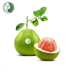 Bưởi Da Xanh Phương Uyên Kieufarm