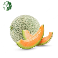 Dưa lưới YuKang Kieufarm
