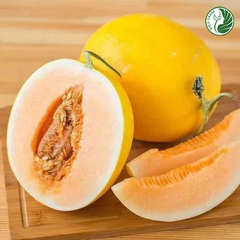 Dưa Lê Hồng Ngọc Kieufarm