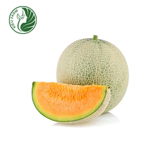 Dưa Lưới TL3 Kieufarm