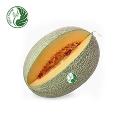 Dưa lưới Mật Kieufarm