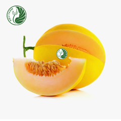 Dưa Lê Hồng Ngọc Kieufarm