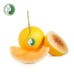 Dưa Lê Hồng Ngọc Kieufarm