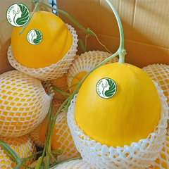 Dưa Lê Hồng Ngọc Kieufarm