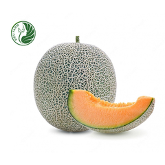 Dưa lưới T-ONE Kieufarm
