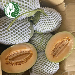 Dưa lưới Mật Kieufarm
