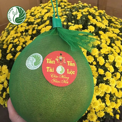Bưởi Da Xanh Phương Uyên Kieufarm