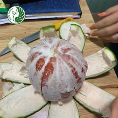 Bưởi Da Xanh Phương Uyên Kieufarm