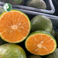 Cam sành Hiếu Liêm Kieufarm