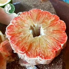 Bưởi Da Xanh Phương Uyên Kieufarm