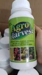 Phân bón Agro Harvest giúp tăng độ ngọt chắc trái và giúp đề đề kháng cây