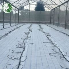 Bạt địa trải nền 180gr trắng nhiều size