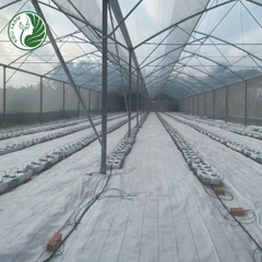 Bạt địa trải nền 180gr trắng nhiều size