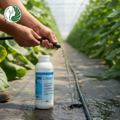 Dung dịch vệ sinh đường ống BM Clean_KIEUFARM