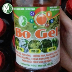 Phân bón lá Bo Gel_KIEUFARM