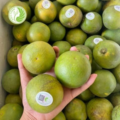 Cam Xoàn Lai Vung Kiều Farm - 1kg