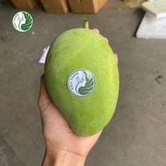 Xoài Cát Chu xanh