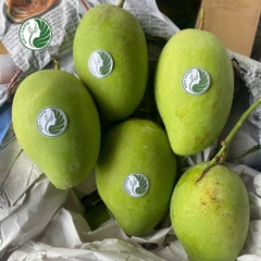 Xoài Cát Chu xanh