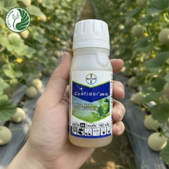 Thuốc trừ sâu Confidor 200SL_KIEUFARM