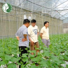 Cuộn dây treo trái, sợi se nông nghiệp - 3kg