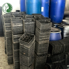 Đế kê bầu giá thể_KIEUFARM