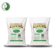Combo Phân bón tổng hợp AB Diva15
