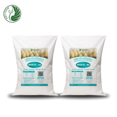Combo Phân bón tổng hợp AB Diva15