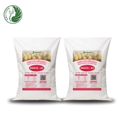Combo Phân bón tổng hợp AB Diva15