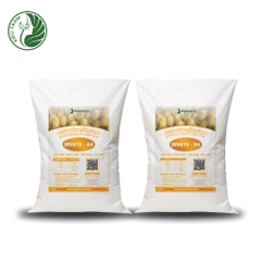 Combo Phân bón tổng hợp AB Diva15