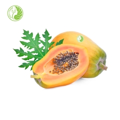 Đu đủ giống Nhật Kieufarm - 1kg