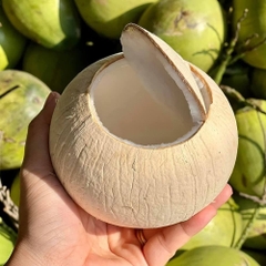 DỪA XIÊM TRỌC KIEUFARM