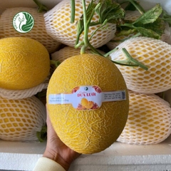 Dưa Lưới Vàng Hami 88