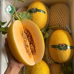 Dưa Lưới Vàng Hami 88