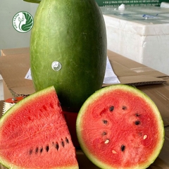 Dưa hấu đường