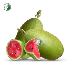 Dưa hấu đường