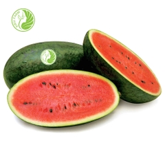 Dưa Hấu Hắc Mỹ Nhân_KIEUFARM