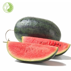 Dưa Hấu Hắc Mỹ Nhân_KIEUFARM