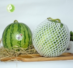 Dưa Hấu Không Hạt Kieufarm