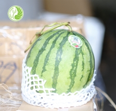 Dưa Hấu Không Hạt Kieufarm
