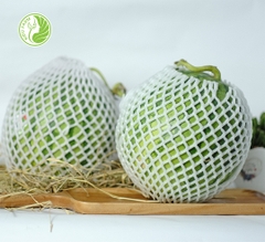 Dưa Hấu Không Hạt Kieufarm
