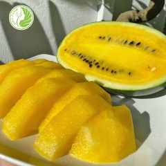 Dưa hấu ruột vàng Kieufarrm
