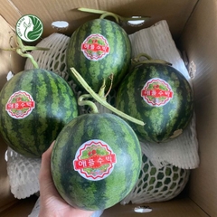 Dưa hấu táo