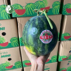 Dưa hấu táo