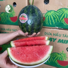 Dưa hấu táo