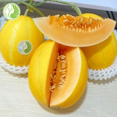 Dưa lê Hàn Quốc