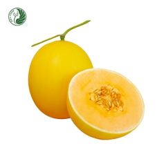 Dưa Lê Kim Hoàng Hậu