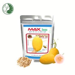 Hạt giống dưa lưới Diva15_Phú Điền Seeds