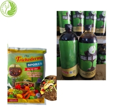 Giải Pháp Ủ Phân Hữu Cơ Tại Nhà - Combo Trichoderma và Mật Rỉ Đường