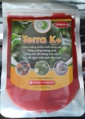 Phân bón Terra K - Tạo ngọt - gói 300gr