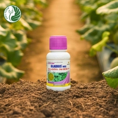 Thuốc trừ sâu Gladius 10SC_KIEUFARM